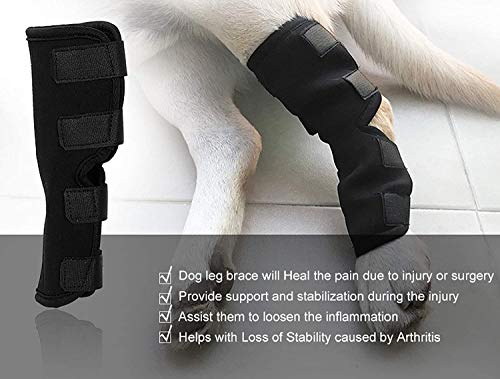 FayTun 1 par de corvejones para perros, rodilleras para perros, vendaje de protección para piernas para curar y prevenir lesiones y esguinces, ayuda a la artritis