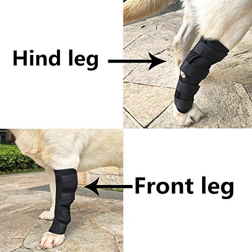 FayTun 1 par de corvejones para perros, rodilleras para perros, vendaje de protección para piernas para curar y prevenir lesiones y esguinces, ayuda a la artritis
