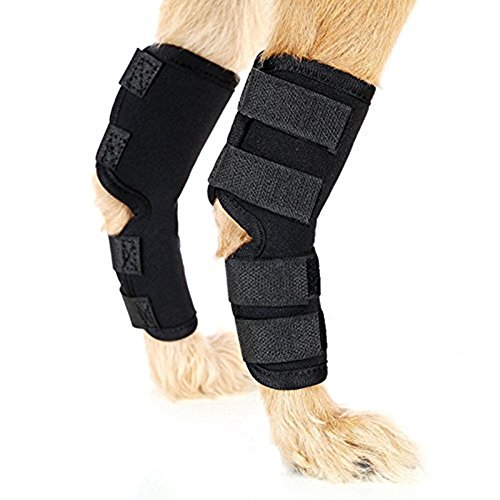 Férula para corvejón de pata trasera de perro 9-Jet Ecommence, protege las heridas, ayuda a sanar y sirve de soporte para esguinces causados por la artritis (1 par)