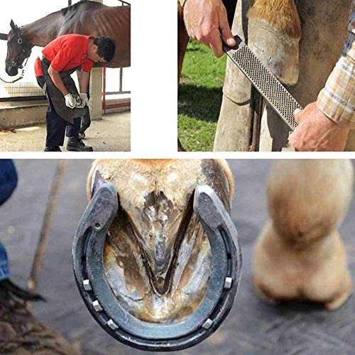 FSJD Alicates pezuña pezuñas Care Kit para el Cuidado del Enganche, Enganche Hoof Cuidado, Conveniente Recorte de los Caballos/Herramienta burros, Profesional