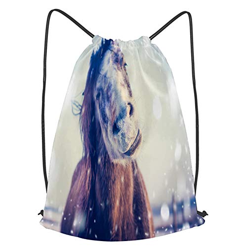 fudin Impermeable Bolsa de Cuerdas Saco de Gimnasio caballo divertido disfruta de la nieve del invierno cerca Deporte Mochila para Playa Viaje Natación