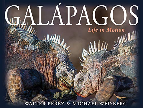 Galápagos: Life in Motion (English Edition)