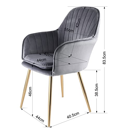 Genesis Sillones de silla de bañera de tela de terciopelo Muse con patas de tubo de metal con acabado cromado dorado (gris/dorado)