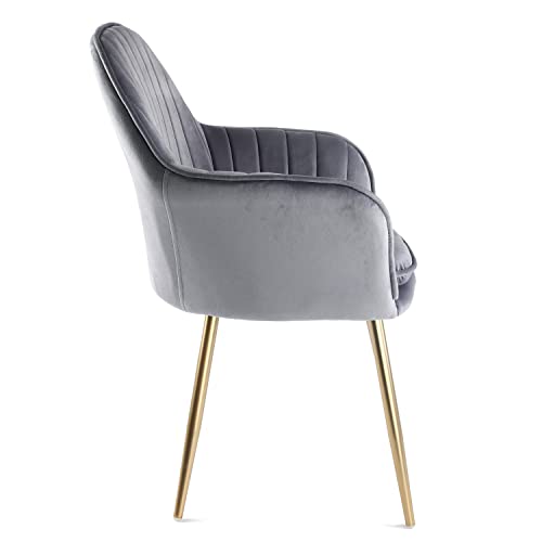 Genesis Sillones de silla de bañera de tela de terciopelo Muse con patas de tubo de metal con acabado cromado dorado (gris/dorado)