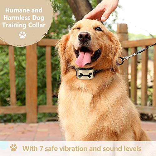 GoPetee Collar Antiladridos Recargable para Perros Pequeños Medianos y Grandes Collar Adiestramiento Recargable para Perros Sonidos y Vibraciones Audibles Chip Avanzado (Hueso)