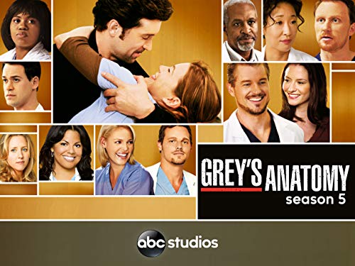 Grey's Anatomy (Yr 5 2008/2009)