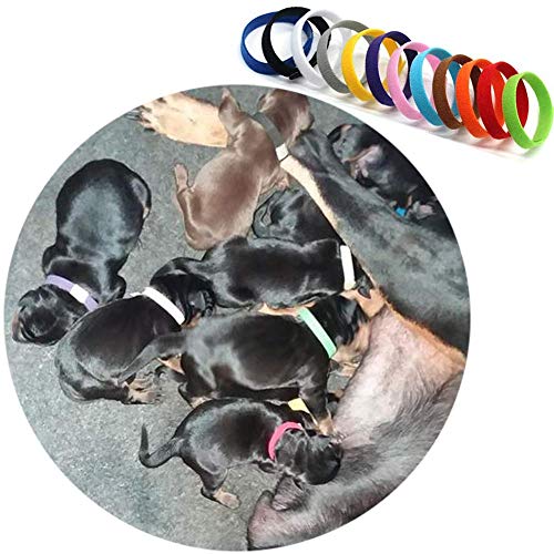 GTIWUNG Juego de 12 Collar de Mascota, Collares Ajustables para Mascotas, Collar de Cachorro Gatito Banda de Identificación de Cachorro Suave y Ajustable, 12 Colores