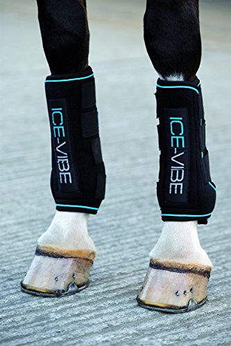 Guetres de soin Ice Vibe Horseware - FULL