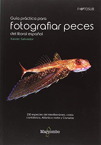 Guía práctica para fotografías peces del litoral español: 230 especies del Mediterráneo, costa cantábrica, Atlántico norte y Canarias: 1 (FOTOSUB)