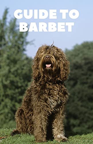 GUIDE TO BARBET (English Edition)