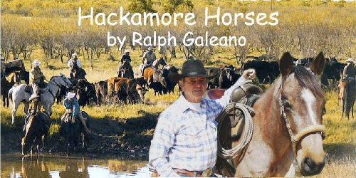 Hackamore Horses A Cowboy Chatter Article (Cowboy Chatter Articles) (English Edition)