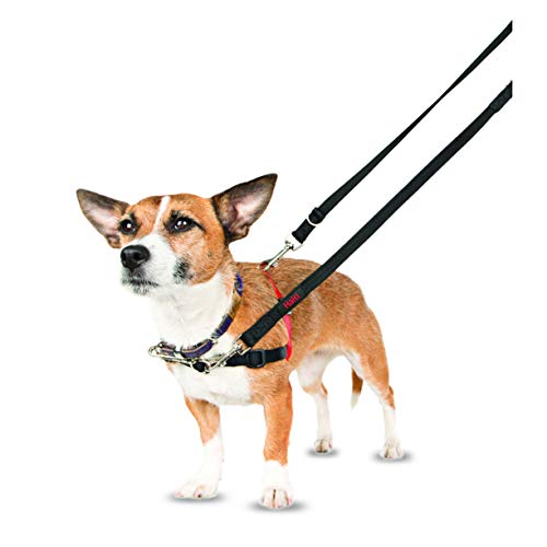 Halti 14120A - Correa de entrenamiento para perros de doble extremo para collar y arnés sin tirones, negro, talla S