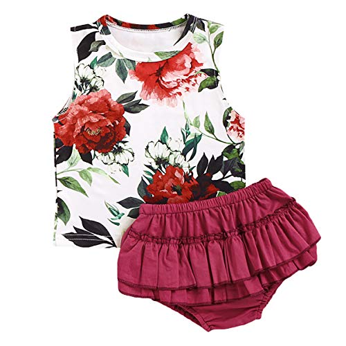 Haokaini 0-18M Conjunto de Ropa Floral para Niñas Pequeñas para Bebés Y Niños sin Mangas Top Chaleco Pantalones Cortos Traje