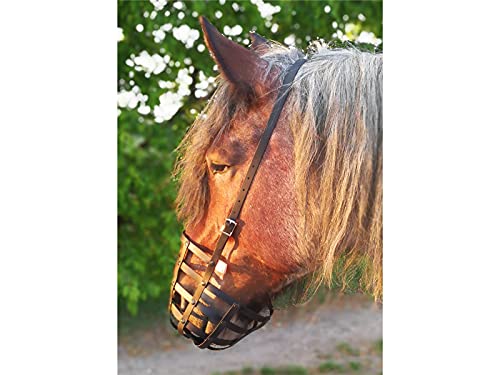 Heavy Horse Parts Freno de alimentación Strong (Pony, sin correa de sujeción con placa de suelo estándar).