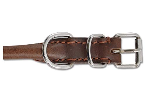Heritage Leather redondo cosido cuello, 35 - 43 cm (Talla 4)
