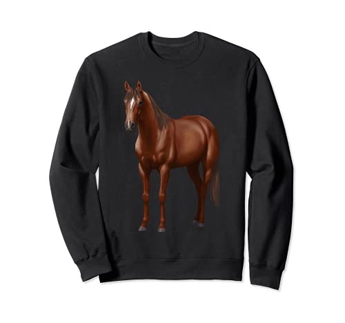 Hermoso regalo para los amantes de los caballos, color castaño Sudadera