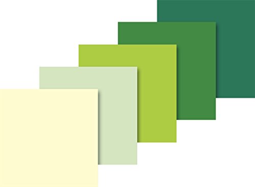 Heyda 203375739 - Papel de seda, 50 x 70 cm, 5 colores surtidos (French Vanilla, verde pastel, verde claro, verde medio, verde oscuro)