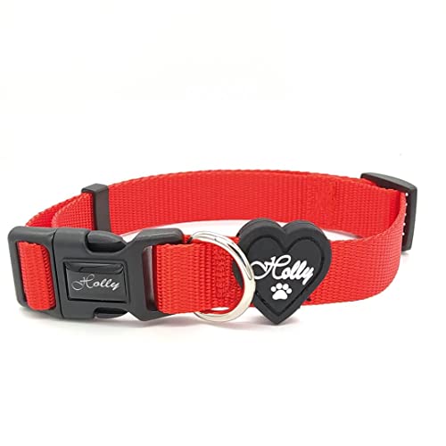 Holly Mascotas Collar de Perro Personalizado Envío 24 a 72h, Bordado con Nombre y Número de Teléfono para Perros Pequeños, Medianos y Grandes. Ajustable y Suave para Caminar o Correr.
