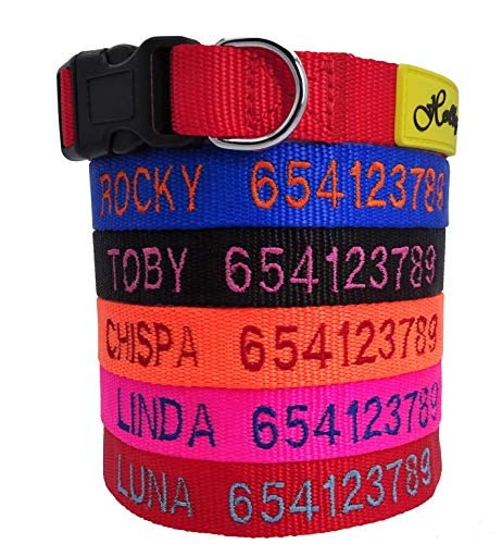 Holly Mascotas Collar de Perro Personalizado Envío 24 a 72h, Bordado con Nombre y Número de Teléfono para Perros Pequeños, Medianos y Grandes. Ajustable y Suave para Caminar o Correr.