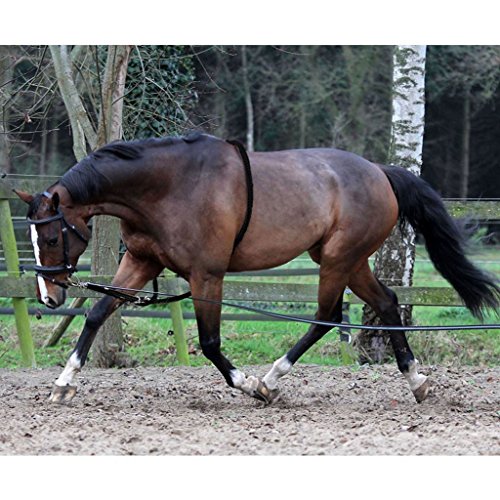Horka Ecuestre 8 mtr suave Riendas Pony COB Full resistente y ligero Equitación artículos, negro