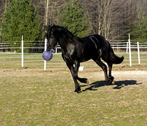 Horsemen Pride Pelota Jolly Unisex, Morado, 25.4 cm