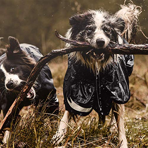 Hurtta Monsoon Coat, Dog Raincoat, Blackberry, 8 in Impermeable para Perro