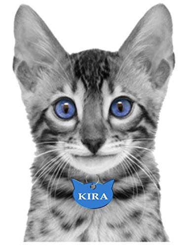 Iberiagifts - Placa en Forma de Cara de Gato para Gatos de Todas Las Edades Chapa Medalla de identificación Personalizada para Collar Perro Mascota grabada (Negro)