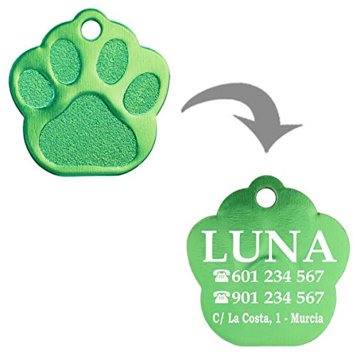 Iberiagifts - Placa en Forma de Huella para Mascotas pequeñas-Medianas Chapa Medalla de identificación Personalizada para Collar Perro Gato Mascota grabada (Azul clarito)
