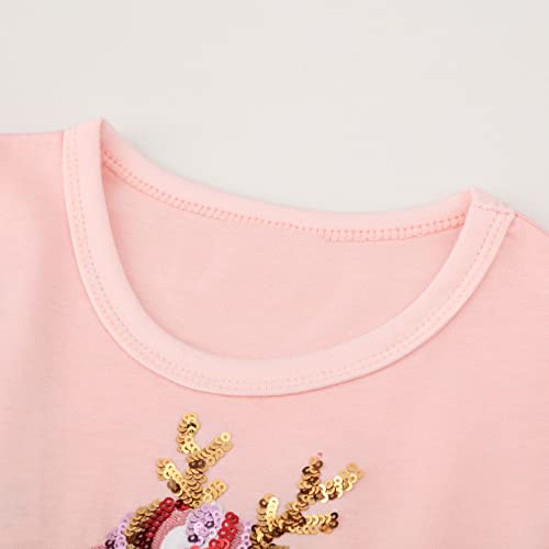 JinBei Vestidos para Niña Unicornio Lentejuelas Otoño Manga Larga Algodón Tulle Rosado Caballo Camisetas Baratos Casuales Estrella Vestidos Navidad Ropa 3-4 años