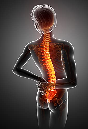 JOCCA - Corrector postural espalda Hombre y Mujer | Tiras Ajustables