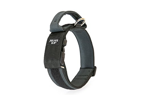 Julius-K9 Collar Color & Gray con la manija, la cerradura de seguridad y el remiendo intercambiables, 40 mm 38/53 cm, Negro/Gris