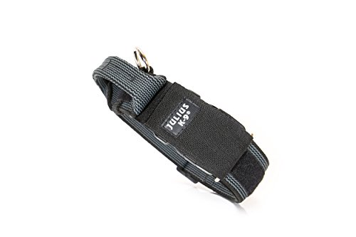 Julius-K9 Collar Color & Gray con la manija, la cerradura de seguridad y el remiendo intercambiables, 40 mm 38/53 cm, Negro/Gris