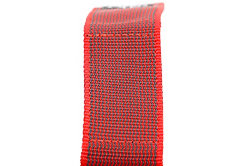 Julius-K9 Collar Color & Gray con la manija, la cerradura de seguridad y el remiendo intercambiables, 40 mm 38/53 cm, Rojo/Gris