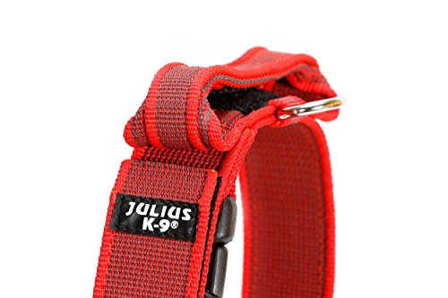 Julius-K9 Collar Color & Gray con la manija, la cerradura de seguridad y el remiendo intercambiables, 40 mm 38/53 cm, Rojo/Gris