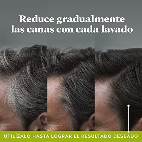 Just for men Control GX Champú, Reduce las canas gradualmente, Resultado natural, 118 ml