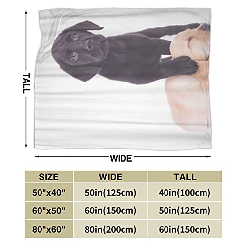 keiou Cómoda Manta de Franela Fina,Cachorro Labrador Negro de pie con la Pata en la Cabeza del Cachorro durmiendo,Manta de Aire Acondicionado 60"x80"