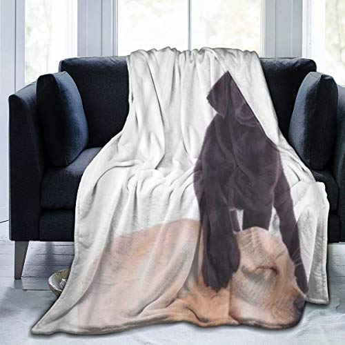 keiou Cómoda Manta de Franela Fina,Cachorro Labrador Negro de pie con la Pata en la Cabeza del Cachorro durmiendo,Manta de Aire Acondicionado 60"x80"