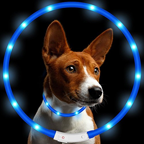 KEKU LED Collar de Perro de Mascota, llevó USB Recargable Collar de Seguridad para Mascotas Impermeable hasta la Longitud de 50 cm (19.5in) Collar de Destello Ajustable (Azul)
