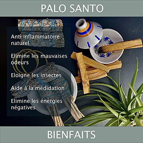 Kit de 1 palo Santo y 1 salvia blanca Purificación de Brular Incienso Natural AntiStress Bastones Peruano para la meditación