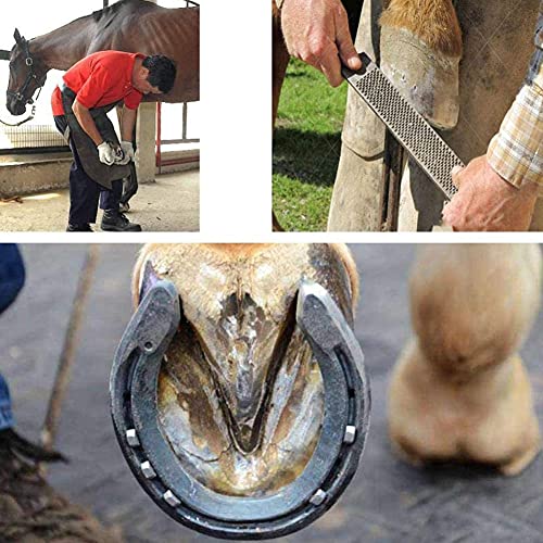Kit de herramientas para cortar pezuñas de herrador de caballos, herramientas profesionales para cortar pezuñas de caballos, tijeras de metal equinas, herradores, pinza para pezuñas, mango de corte, c