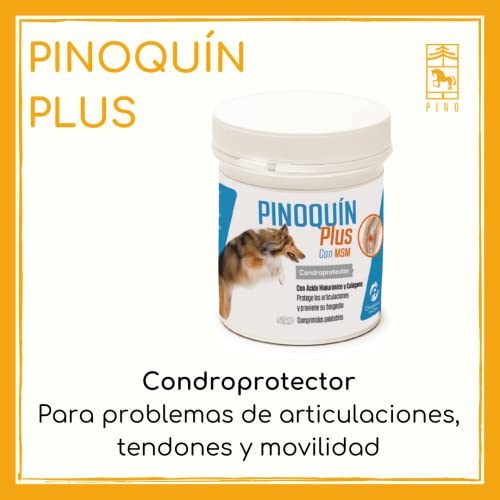LABORATORIOS PINO, S.A. PINOQUIN Plus Condroprotector