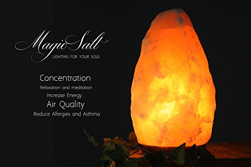 LAMARE Lámpara de Sal del Himalaya 2-3kg con Regulador y Bombilla LED. Caja original Magic Salt® Lighting For Your Soul.