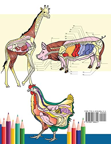Libro para colorear de anatomía veterinaria: Libro de trabajo para colorear de autoevaluación de fisiología animal para estudiar y relajarse | Un ... estudiantes veterinarios e incluso adultos