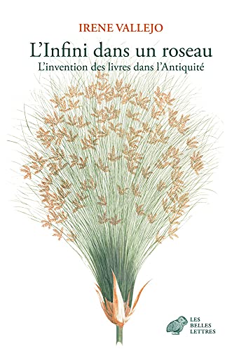 L'Infini dans un roseau: L'invention des livres dans l'Antiquité