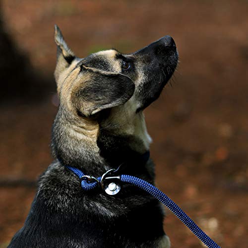 lionto by dibea Correa Retriever correa de perro correa de entrenamiento longitud 120 cm Azul