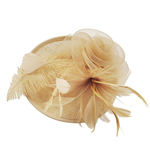 LOPILY Moda para Mujer Sombrero de Malla Cintas y Plumas Sombrero del Banquete de Boda Sombrero de Elegante Fiesta La Flor Estilo Sombrero de niña 11 Colores(Café)