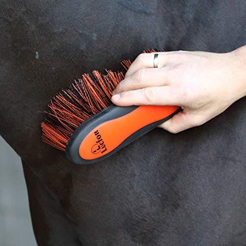 Lucfor Cepillo largo para raíces de caballo, cepillo el pelo como peine crines en accesorio caballos, grande y suave, cerdas naranjas, brillante polvo grueso la suciedad