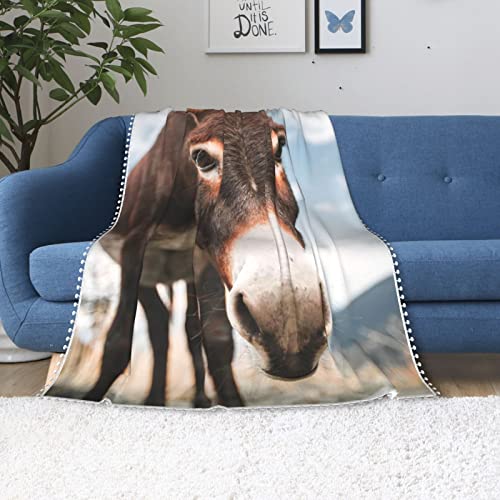 Manta de franela de forro polar de burros son los de caballo real, manta de microfibra súper suave y esponjosa para sofá, 80 x 60 pulgadas