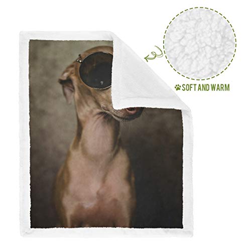 Manta de perro de impresión cálida cubierta de cama Retrato Ttalian Galgo Mantas