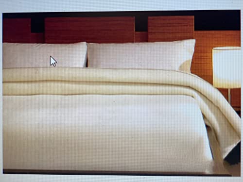 Manterol Manta para cama individual tamaño maxi de tejido Dralon Inside efecto terciopelo Art. Polo Color apto para las estaciones, primavera/otoño, 625 g/m² 180 x 240 cm (marfil 02)